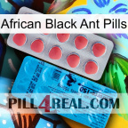 African Black Ant Pills new14